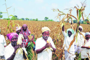 राज्य सरकारची शेतकऱ्यांना नवीन वर्षात मोठी भेट! 2 लाखांपर्यंतच्या पीक कर्जासाठी संपूर्ण मुद्रांक शुल्क केलं माफ